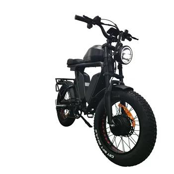 Двухмоторные литиевые батареи мощностью 1000 Вт * 2 48 В 79 ач E Fat Tire Bike Ecycle Cargo Ebike электрический велосипед