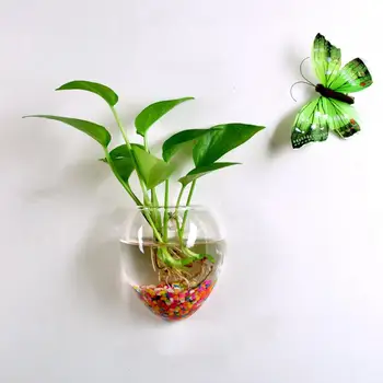 Контейнер для растений круглой формы с широким горлышком, украшающий настенную стеклянную вазу для цветов, кашпо, горшок, Цветочная композиция