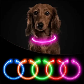 Мигающий ошейник для собак и кошек, перезаряжаемый через USB, светящееся ожерелье, ремень безопасности, загорающийся при ночной прогулке, электрическое кольцо на шею, неон