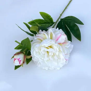 Моделирование 2 глава французского пион домашний отель украшения поддельные цветок шелк цветок фотографии фоном цветок моделирования